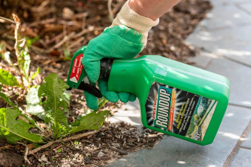 Roundup weedkiller spraying weeds - AVA Law Group