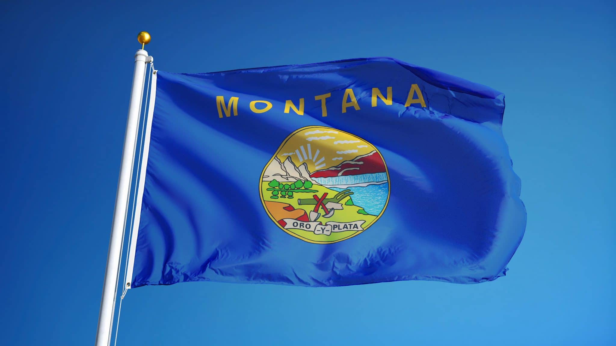 Montana State Flag