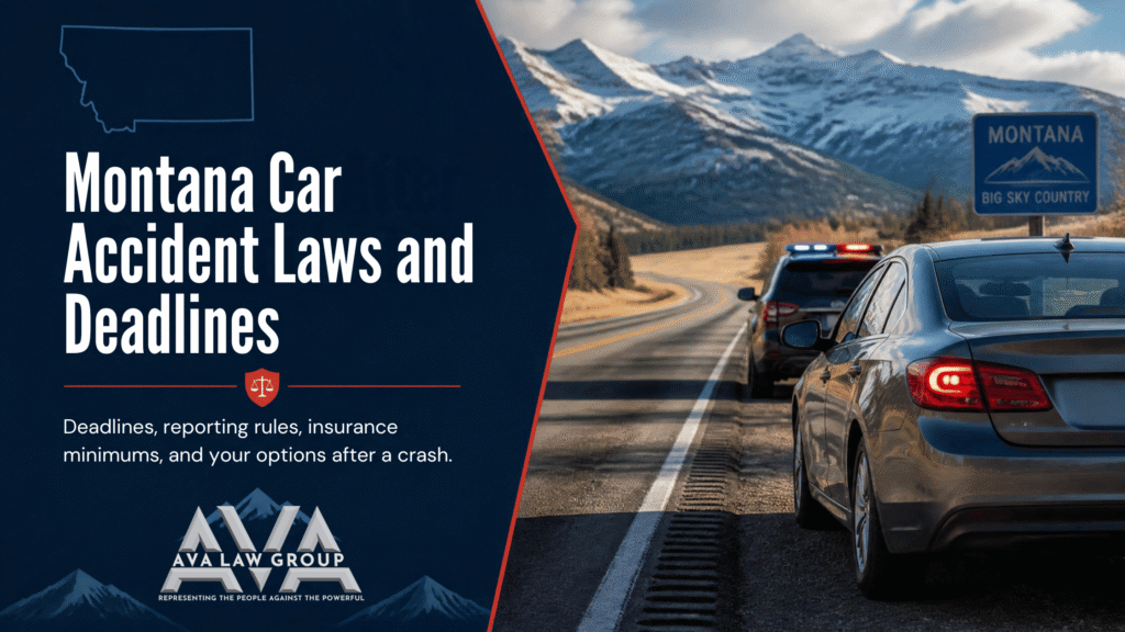 MT Laws and Dealines